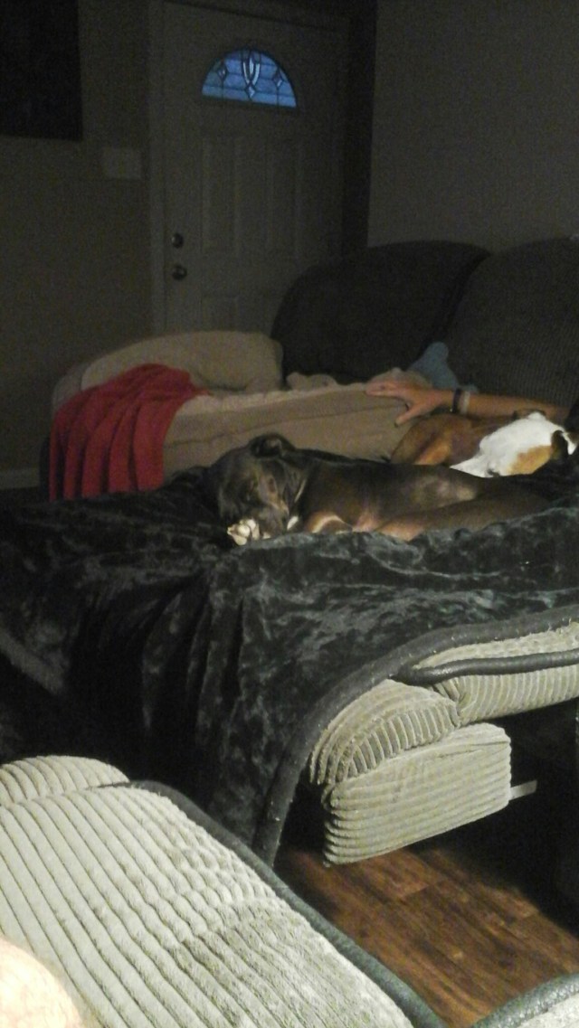 wp-1439169823553 image